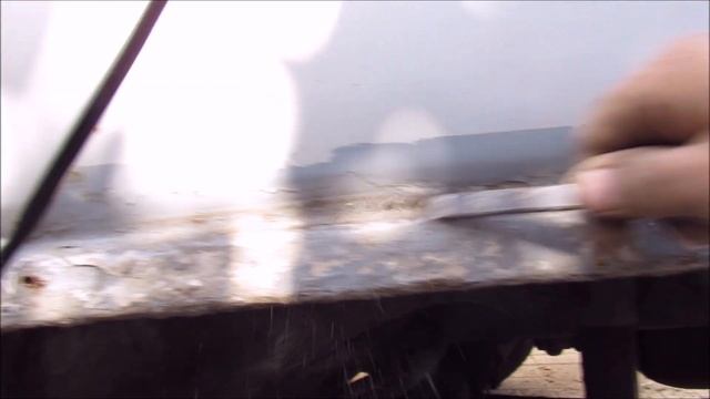 Сгнила из за Мастики! смотреть онлайн