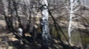 Долгобродский Демидовский завод Шигир.mp4