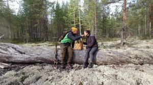 ПОХОД В ЛЕС ЗА ГРИБАМИ.НЕ ПОВЕРИЛИ СВОИМ ГЛАЗАМ. ТИХАЯ ОХОТА В КАРЕЛИИ. НАРОДНЫЕ РАЦИИ. ЗА ГРИБАМИ