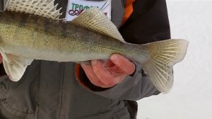 Зимняя рыбалка в Камском устье часть 3