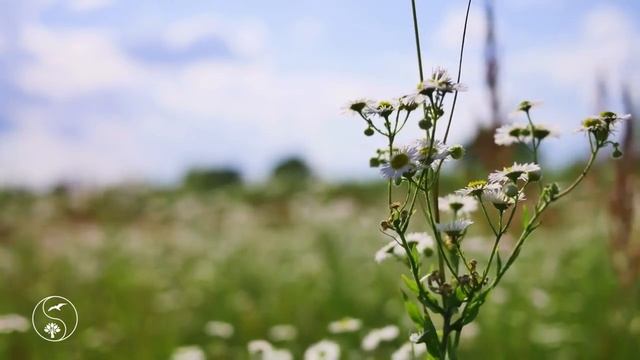 Какие вопросы такие и ответы 2 смотреть онлайн