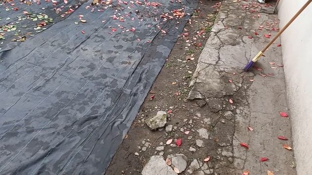 Как долго может прослужить агроткань?