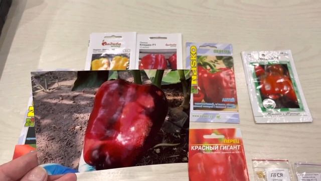 Наш болгарский перец. Обзор семян. Посев. Пикировка. смотреть онлайн
