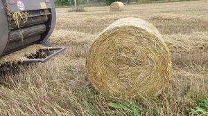 Сколько рулонов можно сделать в смену?