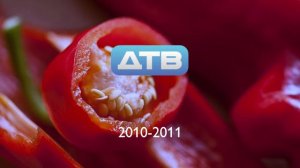 История логотипов ДТВ/Перец (1999-2015)