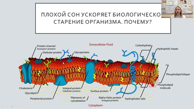 Некачественный сон_Карина_день здоровья 7.04.22_УЦЗ.mp4