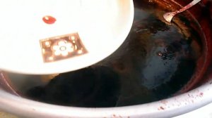 ? Заготовка  Из Терна