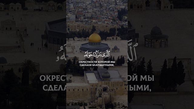 Из заповедной мечети в мечеть аль-Акса... | Ясир ад-Даусари #альакса #мечеть #земля #знамение #ночь смотреть онлайн