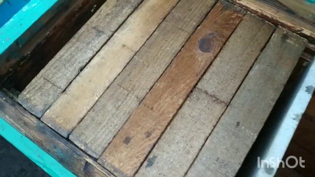 Измерение температуры в улье в клубе над клубом смотреть онлайн