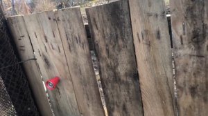 КАЛИТКА ИЗ ДЕРЕВА СВОИМИ РУКАМИ