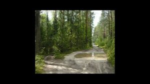 ДЕРЕВНЯ РЯБИНОВКА , АВГУСТ 2019 ГОД