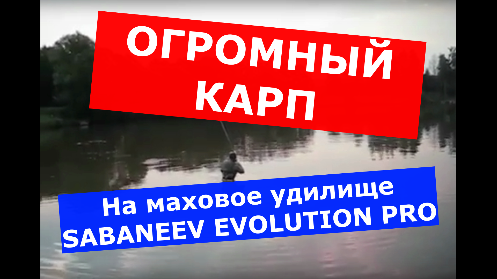 ОГРОМНЫЙ КАРП на МАХОВОЕ УДИЛИЩЕ. САМОЕ ПРОЧНОЕ и ЛЕГКОЕ УДИЛИЩЕ НА КАРПА. SABANEEV EVOLUTION PRO.