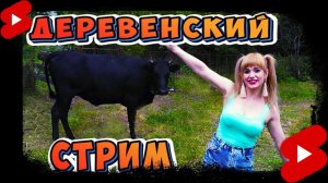 Я ВЕРНУЛАСЬ! Стрим из деревни #shorts