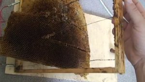 Снимаем сушь с рамки