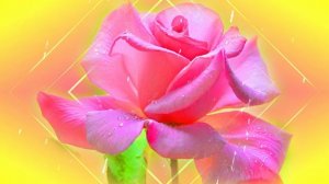 Футаж. Цветочный фон 66