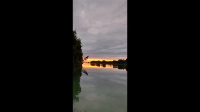 АУТОГЕННАЯ ТРЕНИРОВКА с Натальей Менщиковой. Я - МОГУЧЕЕ ДЕРЕВО!