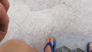 Красностоп золотовский...