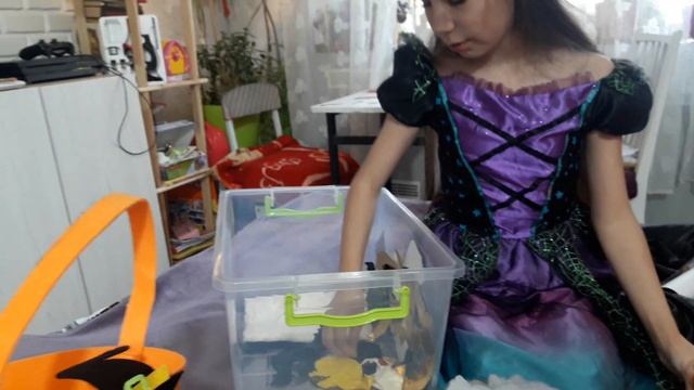 ХЕЛЛОУИН. РАЗБИРАЕМ УКРАШЕНИЯ..КАК МЫ УКРАШАЕМ КОМНАТУ, видео для детей,детские видео смотреть онлайн