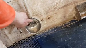 Какие выбрать поилки для поросят в бокс опороса