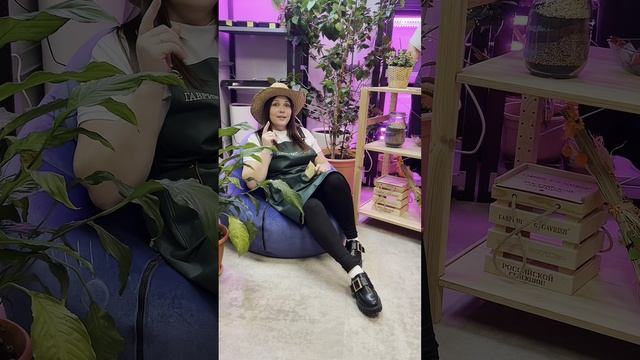 Результаты дачного сезона