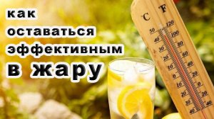 Как правильно питаться, работать и вообще жить когда жара.