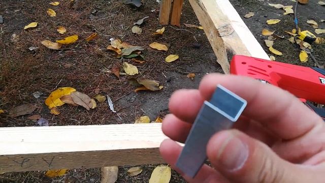 С чего начинается выращивание бройлера смотреть онлайн