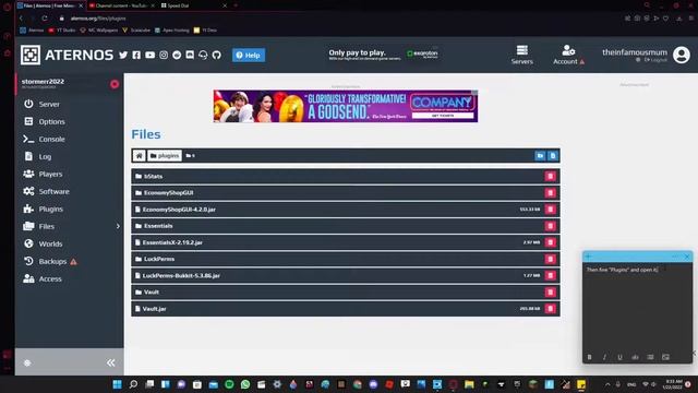 How to remove a plugin from an Aternos server смотреть онлайн