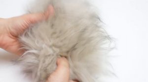 BUY или DIY? | СУПЕР ИГРУШКА, которая вызвала у собак НЕРЕАЛЬНУЮ реакцию! ЭТО ВОСТОРГ!