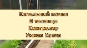 Капельный полив. Инструкция по установке.