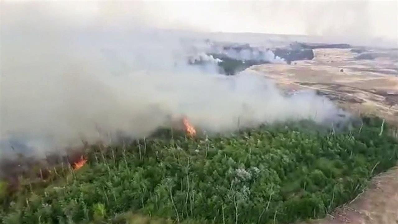 Площадь, охваченная огнем в Рязанской области, за последние сутки выросла до 180 гектаров