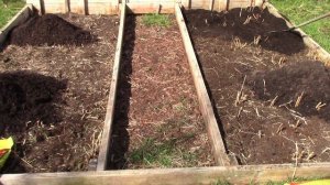 Waking Our Asparagus Raised Garden Bed