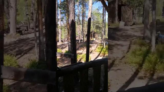 Гостевой домик из сухарника. Как выглядит внутри?