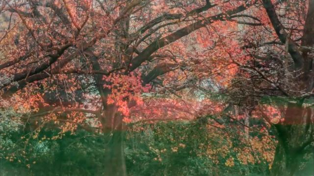 Sony SLT a37 v1 0 смотреть онлайн