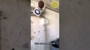 Автономный курятник, можно не заходить целый месяц!