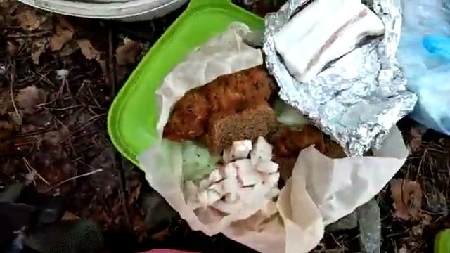 крайняя летняя рыбалка на Балтыме