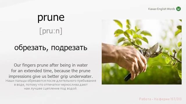 313 слов о работе. Английские слова с примерами.