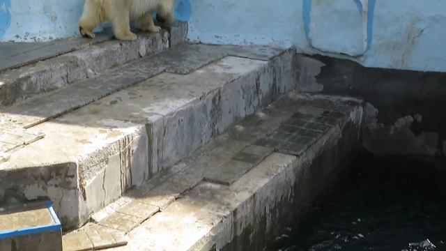 Кай плавает, Герда ходит 07.05.2021 смотреть онлайн