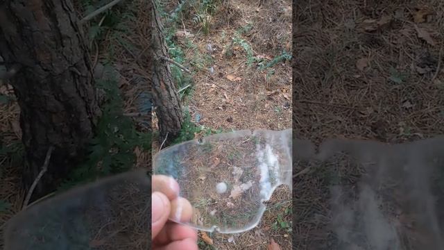 Краш тест Revision Locust ориинал смотреть онлайн