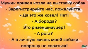 Новый, потрясающий юмористический канал! Очень смешные анекдоты про политику, жизнь и святых отцов!