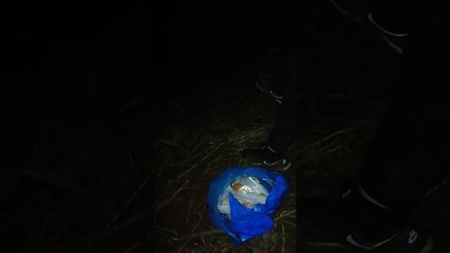 Рыбалка Чувашия) поймали редкого сома. Вот это сом. Часть 1 смотреть онлайн