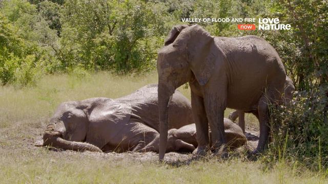 Долина воды и огня / Valley of Flood and Fire Серия 2 После дождей / After the Rains смотреть онлайн