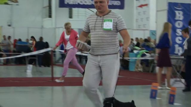 Суки серебро юниоры смотреть онлайн