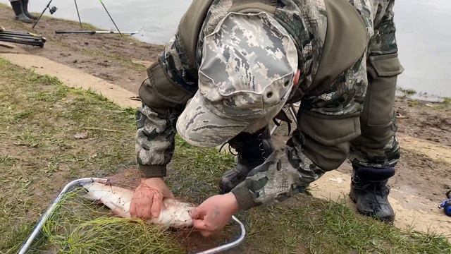 Форель взяла на маггот! смотреть онлайн