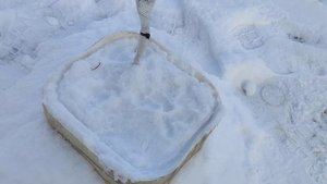 Защита молодых деревьев от грызунов зимой