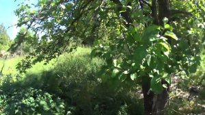 Cyclist's diary. История старого дома в Сусанино