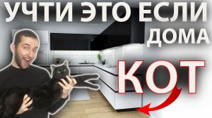 Этого НЕ ДОЛЖНО быть на кухне, когда у вас есть КОТ | Перестройка кухни с учётом кота