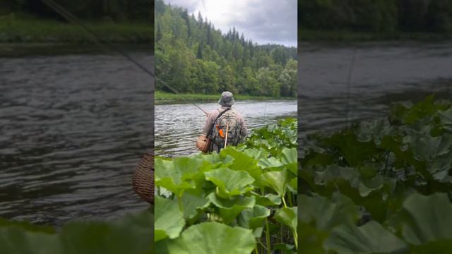 The Ufa river #adventure #flyfishing #nature