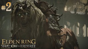 ELDEN RING: Shadow of the Erdtree #2 - ГОРОД ТЕНЕЙ