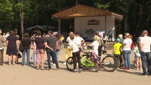5 собак и 12 кошек обрели хозяев после выставки «Пойдём домой»