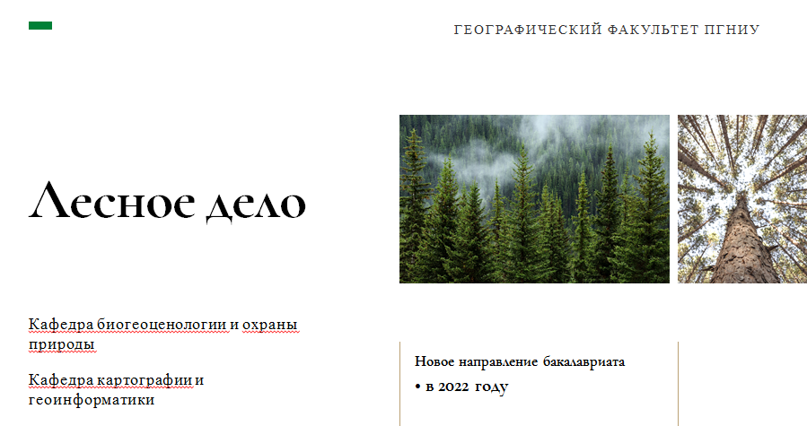 Лесное дело это. Лесное дело. Направление Лесное дело. Проект Лесное дело. Форма лесного дела.